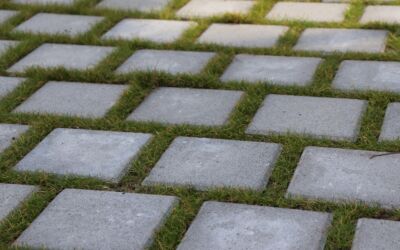 Essential Tips to Maintain Your Pavement